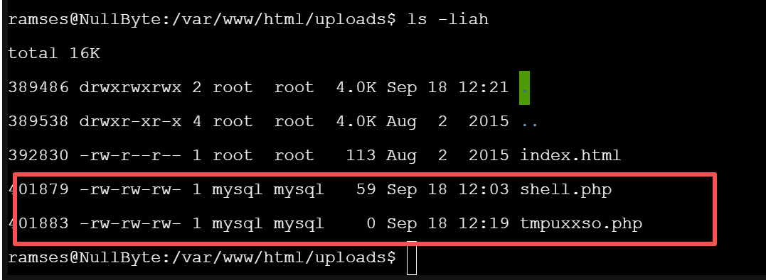 image-20250918164853153