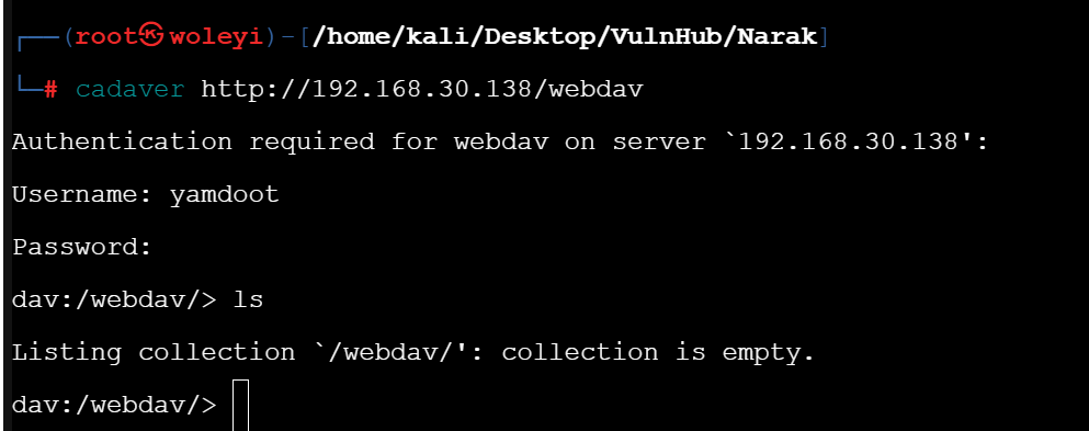 image-20250921011817655