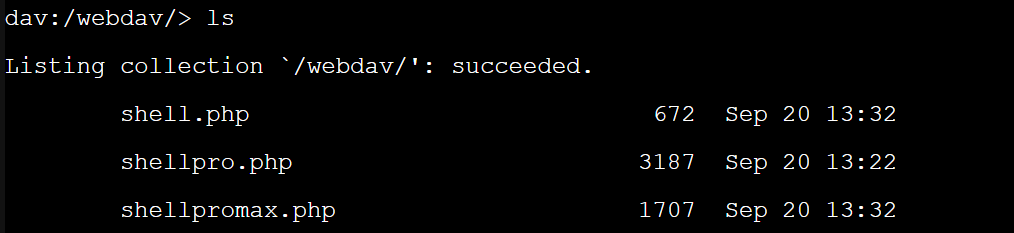 image-20250921013309873