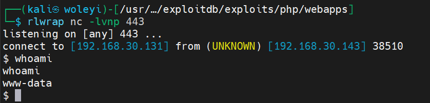 image-20250926151754865