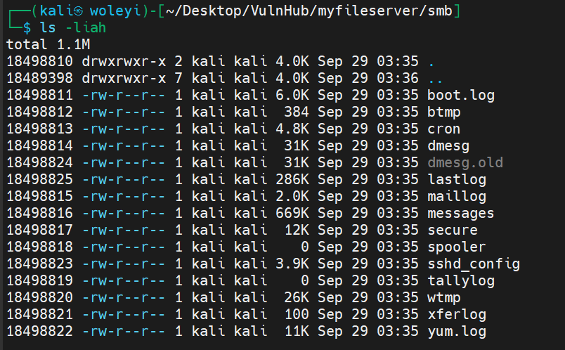 image-20250929154111175