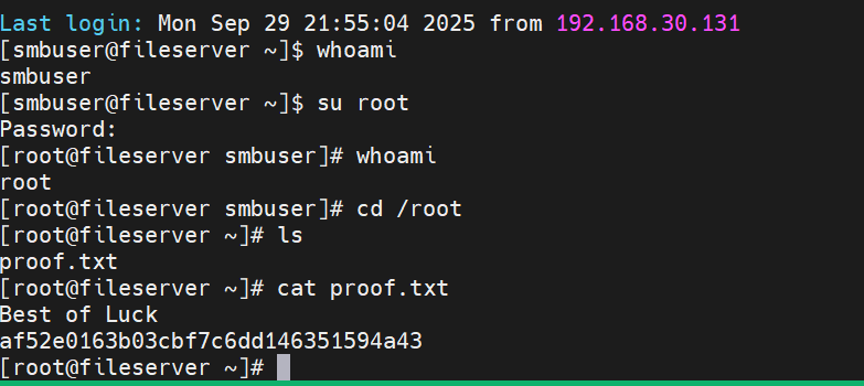 image-20250929183204562