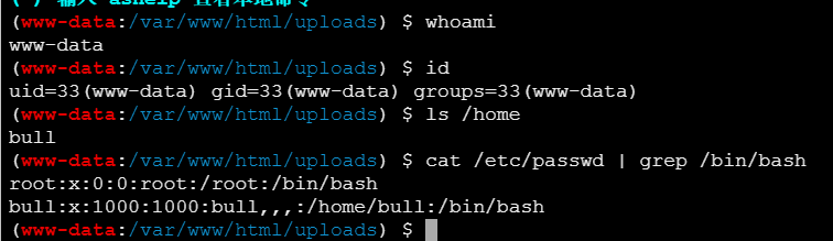 image-20251126170252763