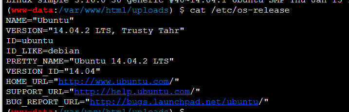 image-20251126175104092