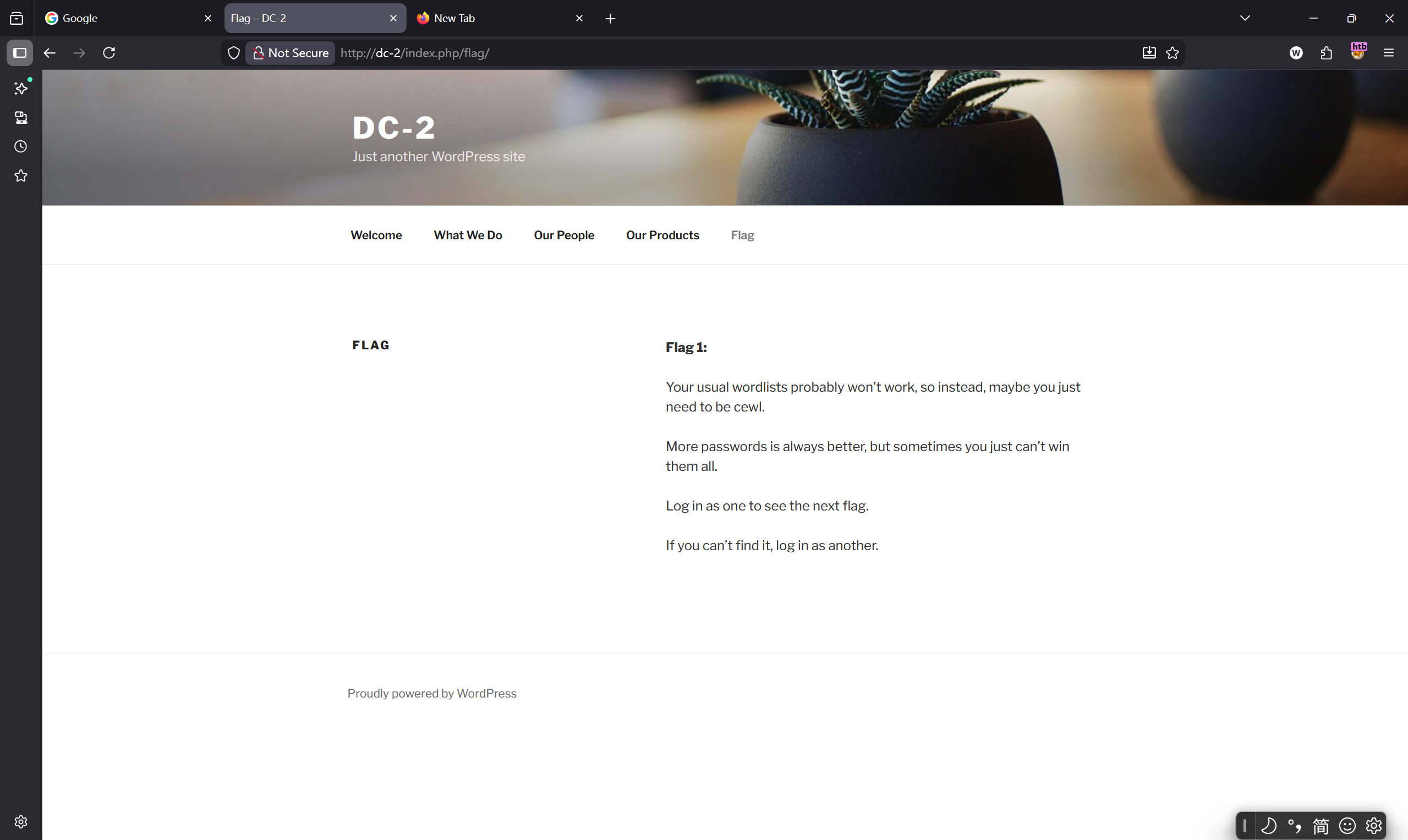 image-20251128105835202