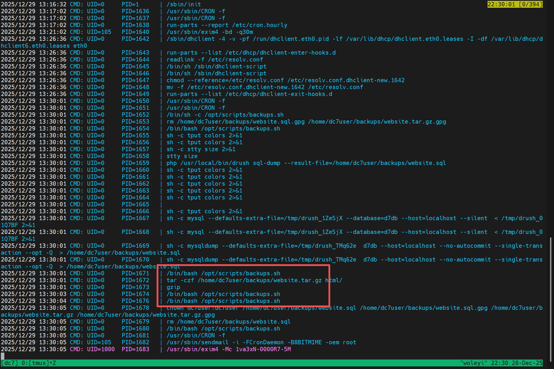 image-20251229113130372